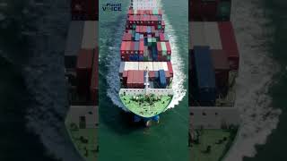 Ocean Noise Pollution | Silent Killer of Marine Life | #noisepollution #marinelife #youtubeshorts