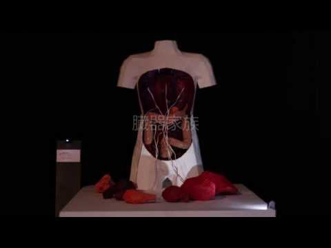 映像メディア学科 臓器家族