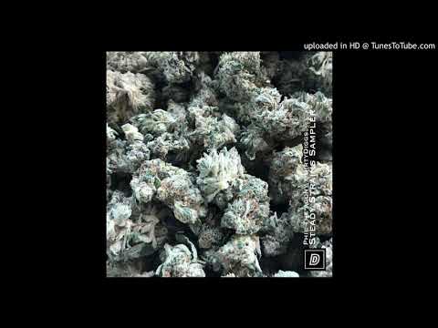 Phil The Agony x DirtyDiggs – Southern California Fire (Choose You) ft Defari