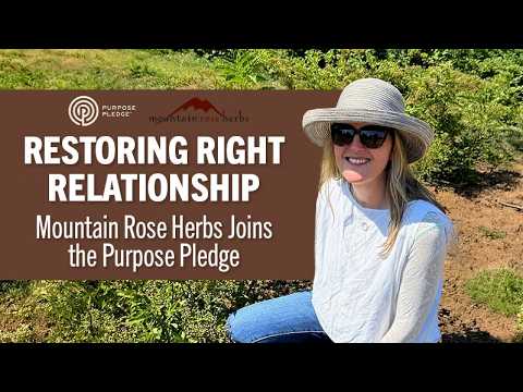 Committing to the Purpose Pledge