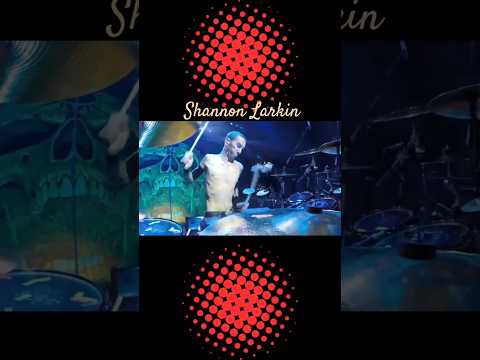 Thumbnail for Shannon Larkin was godsmack's drummer for over 20 years. he was very good 🔥 he was very good by Wrathchild America