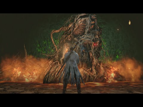 Dark Souls II - Meeting Aldia (All Locations)