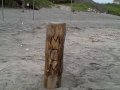 Brute Force Tribute to Mom