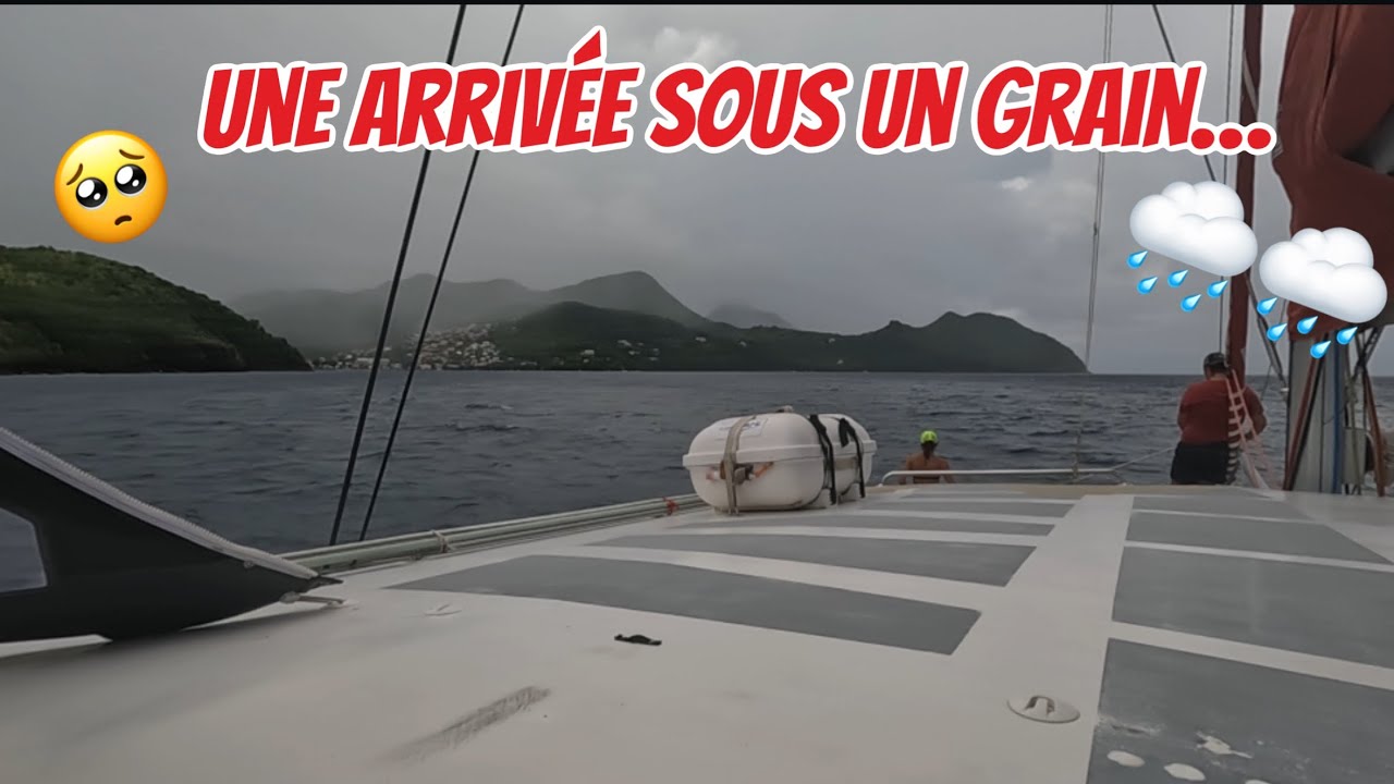 #37 Exploring the seabed of Martinique 😍😍