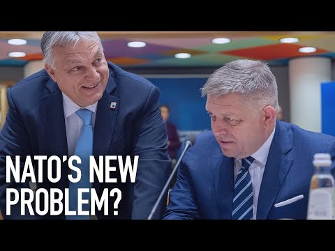 SLOVAKIA | NATO's Growing Problem?