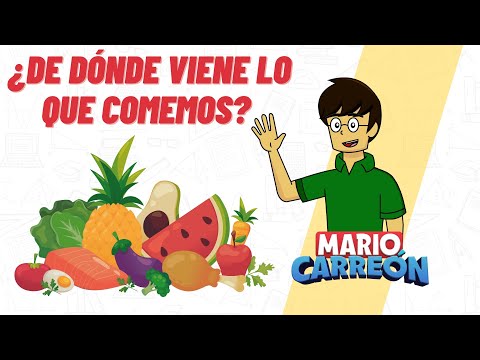 ¿De dónde viene lo que comemos?