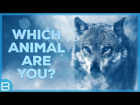 buzzfeed-quizzes-for-kids-what-season-are-you Mp4 3GP Video & Mp3 Download unlimited Videos Download buzzfeed-quizzes-for-kids-what-season-are-you Mp4 3GP Video & Mp3 Download unlimited Videos Download
