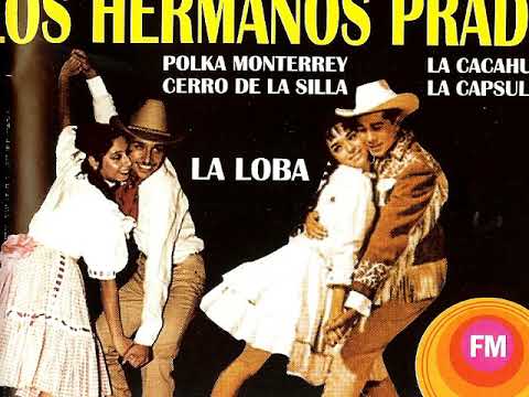 LOS HERMANOS PRADO.....Polkas y Huapangos!