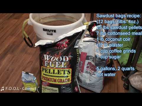 download lagu mp3 mp4 Morel Website, download lagu Morel Website gratis, unduh video klip Morel Website