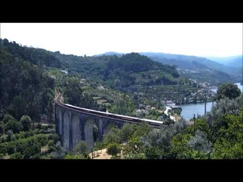 Comboio Especial n.º 92206 - Pala