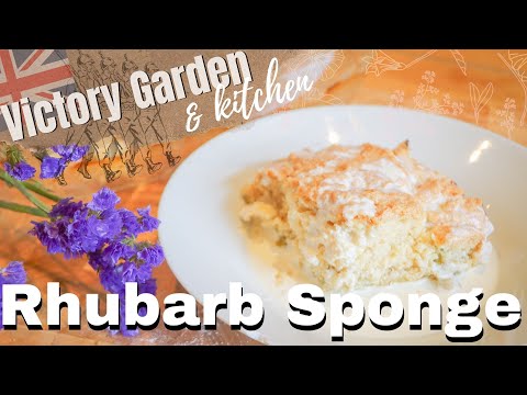 Rhubarb Sponge Victory Garden & Kitchen Recipe WW2
