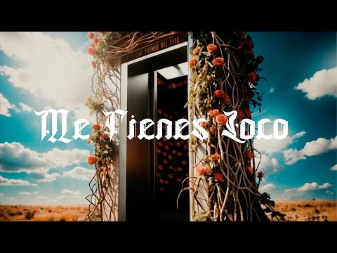 Los Primos del Este - ME TIENES LOCO (Video Lyric)