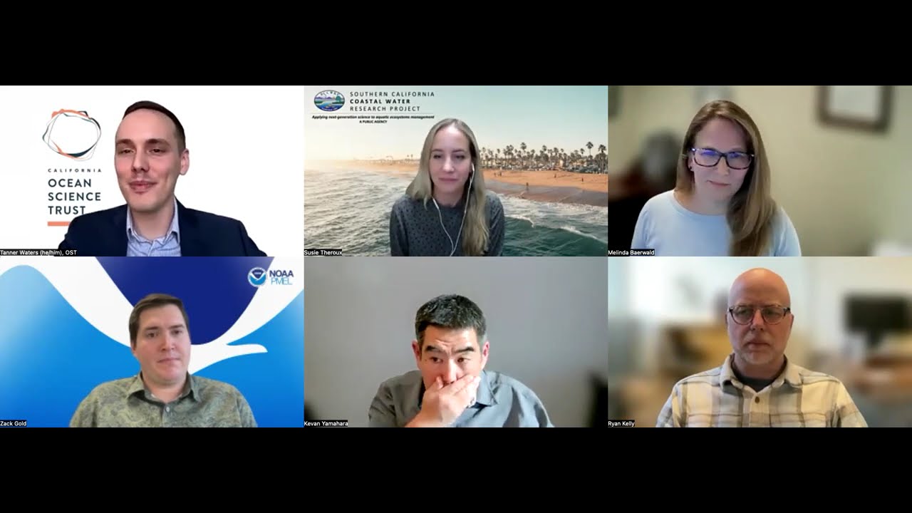 Ask an Expert: Advancing Next-Generation Ocean Management with Environmental DNA (eDNA)