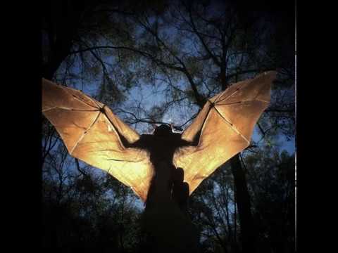 Luis M – Tremolo Wings