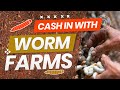 $360K Selling Worms? | How To Cash In With Worm Farms