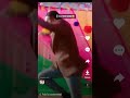Ala Wala Kela Wala