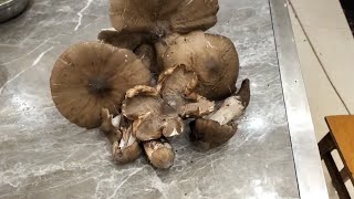 爱你在心口难开