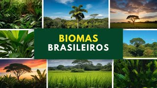 Uma viagem pelos Biomas Brasileiros 🌿🌎