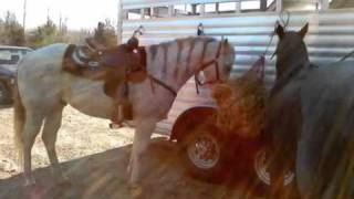 Gray and Mac - Get Back On That Pony(Chris LeDoux).mp4