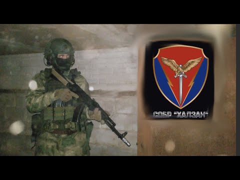 SOBR "Halzan" Loadout - Golden Eagle