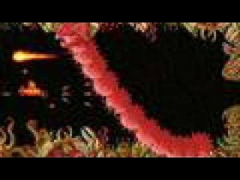 Amiga Longplay Blood Money