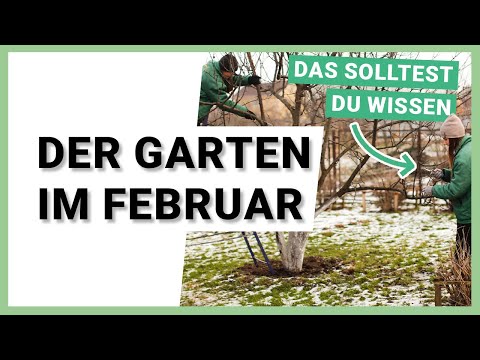 Der Garten im Februar: Was jetzt zu tun ist!
