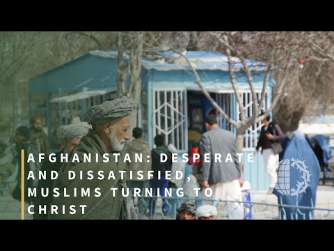 Witness21  2023 06 01