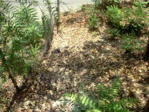 624 Isabel St., Los Angeles, CA 90065