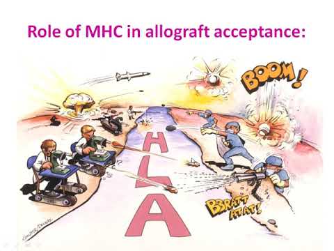 Transplantation Immunology