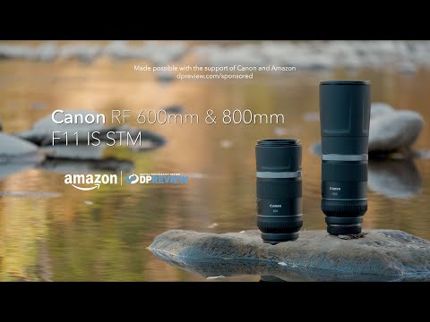 Canon RF 600mm F11 IS STM | DPReview | Photography News, Gear