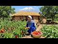 IRAN Daily Village Life Rural Cooking In The High Mountains Of Northern Iran