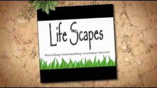 Lifescapes Landscaping Hilton Head Island