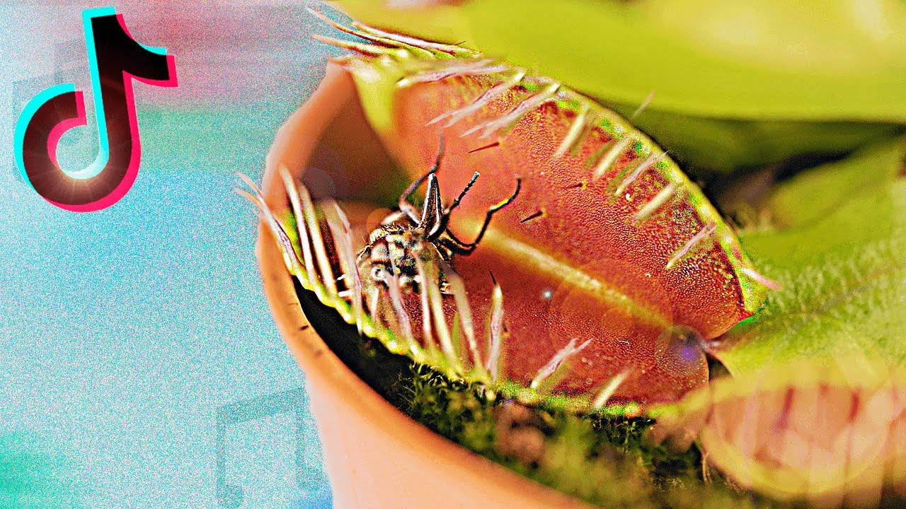 8 КИТАЙСКИХ ТОВАРОВ ИЗ ТИК ТОКА