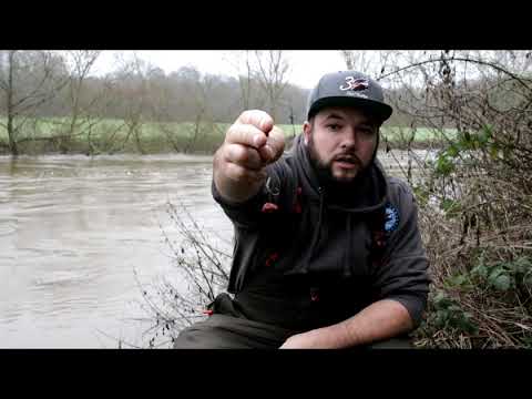Winter middle Severn barbel.