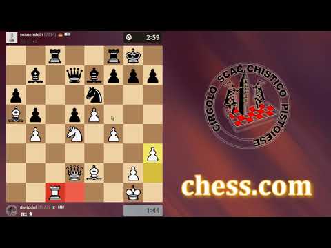 SCACCHI Partite Online 84 - chess.com - Il Cavallo nel Vallo - Gambetto di Donna LIVE