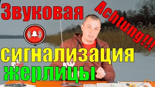 Звуковой сигнализатор для жерлицы