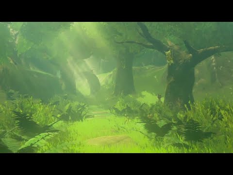 What's new with Korok Forest? 🍁 ~ Tears of the Kingdom