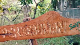 Download lagu Stories Sekar Kedaton mp3 Download lagu Stories Sekar Kedaton mp3