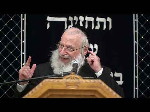חיוב החולה להתעסק ברפואה | שיעור שבועי מאת הרב אשר וייס שליט"א | תשפ"ד