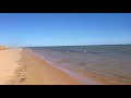 Hydroplaning Dolphins In Shark Bay Western Australia