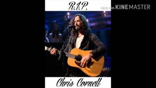 R.I.P. Chris Cornell - The Last Remaining Light (Audioslave)