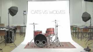 Cats vs. Wolves Video Teaser