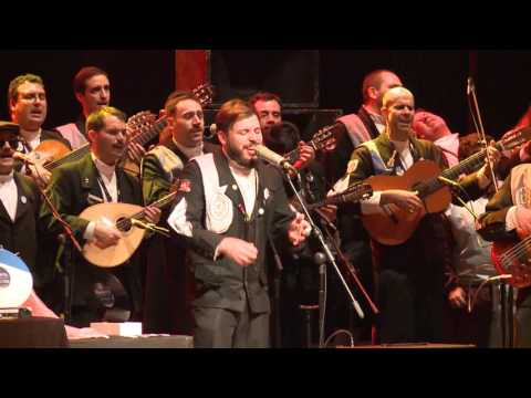 XXII CELTA (Anos 80) – Azeituna – 20 Anos, José Cid