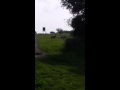2 Oryx S Fighting Lol