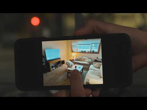 The Awe of Dog | Short Film