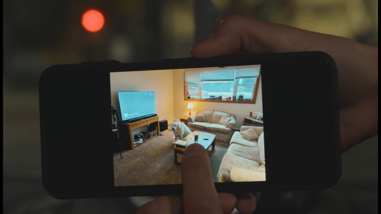 The Awe of Dog | Short Film