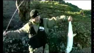 Таймыр.flv Таймыр.flv