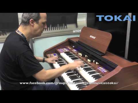 TOKAI T1 Concert -  Allex Bessa   EXPOMUSIC 2015