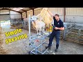 DIY Sheep Shearing