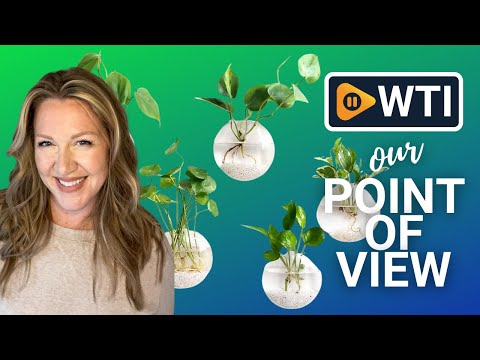 Mkono Wall Hanging Glass Terrariums Planter Oblate Flower Vase for Hydroponics Plants - WTI product video review